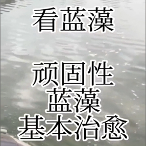 南美白对虾养殖