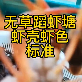 青壳虾