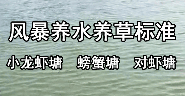 公司简介